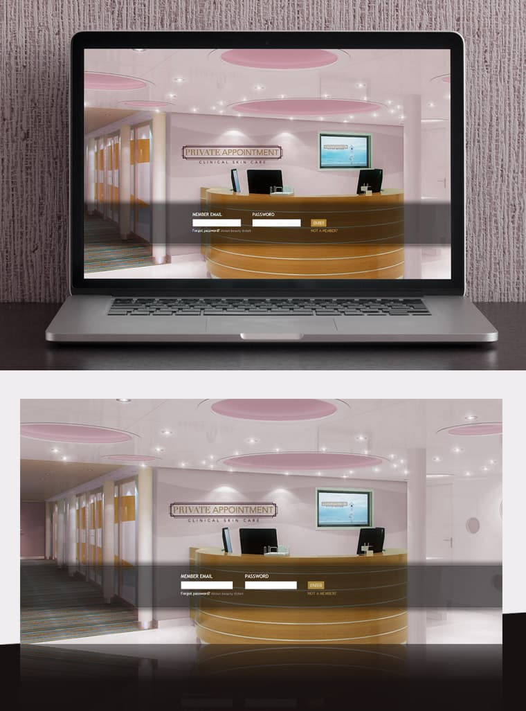Private Appointment - Website Design and Development